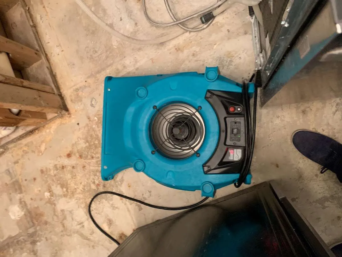 Air mover drying equipment for Mold Remediation & Removal in Eastmont