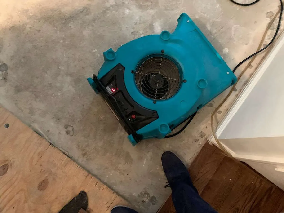 Air mover drying subfloor during Commercial Water Damage Restoration in Eastmont